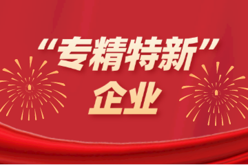 喜訊！遠望信息入選浙江省“專(zhuān)精特新”企業(yè)名單